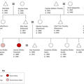 Jeannie Dominick family tree.